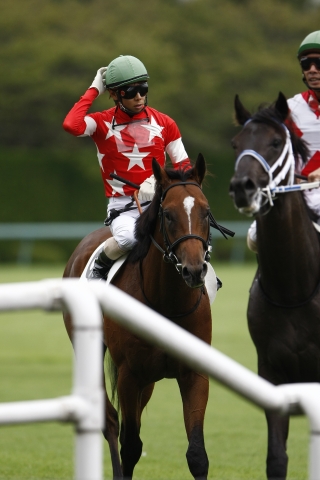 新馬戦 レッドルゼル