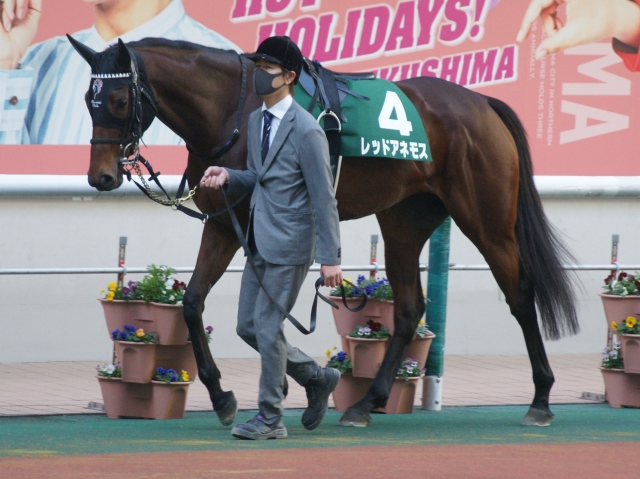 14戦目パドック レッドアネモス