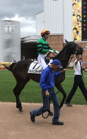 函館競馬場 アルジェンタータ