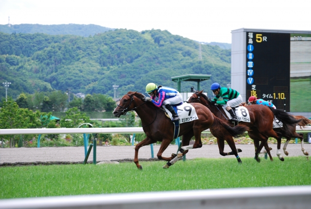 レース プランタンヴェール