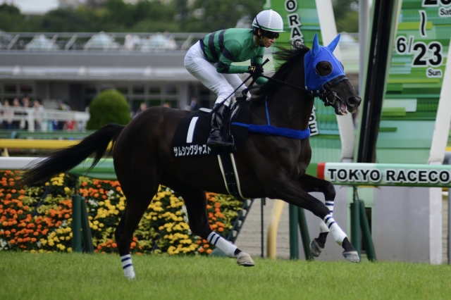 返し馬 サムシングジャスト