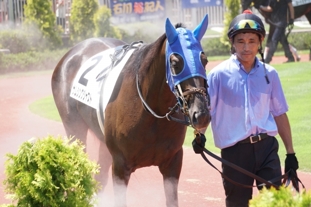 ミストのオーラをまとい サムシングジャスト