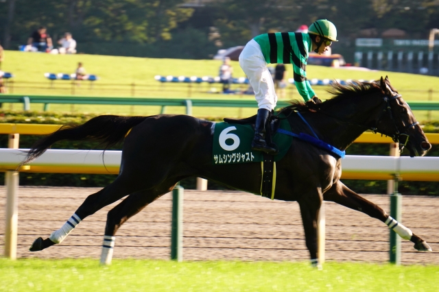 のびのび② サムシングジャスト