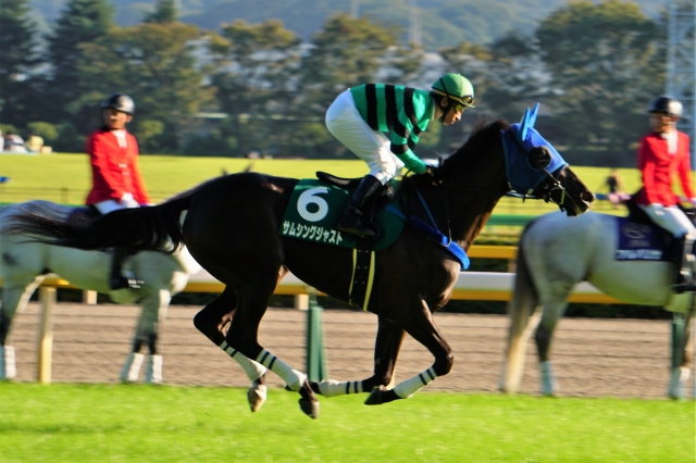 調子は悪くなさそうだが・・・ サムシングジャスト