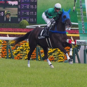 スイトピーＳ　返し馬