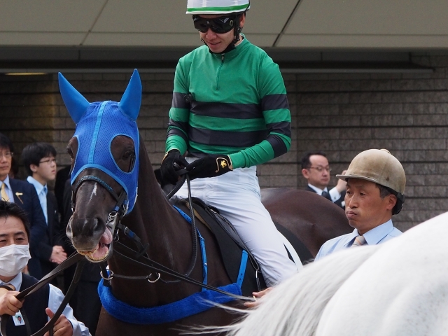 スイトピーＳ　パドック２ サムシングジャスト