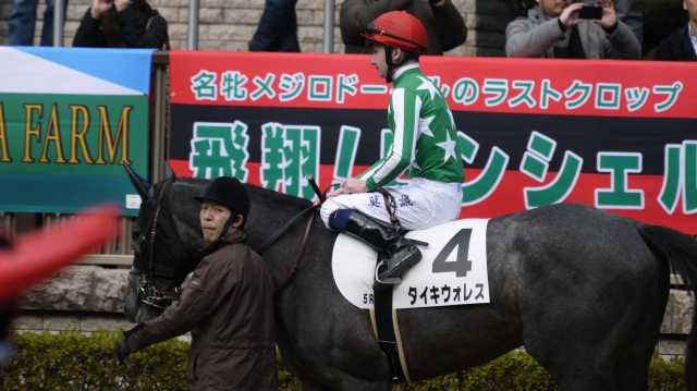 パドック タイキウォレス
