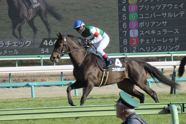 菜の花賞　返し馬 コントラチェック