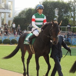 フラワーC　パドック②