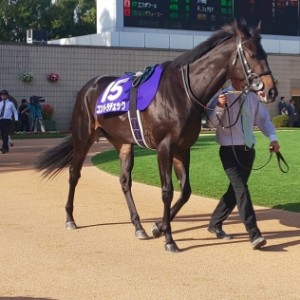 秋華賞 パドック