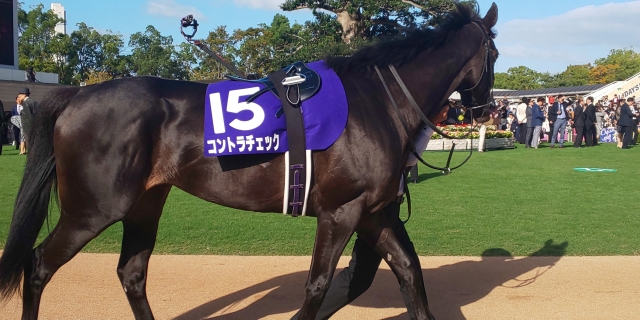  秋華賞 パドック コントラチェック