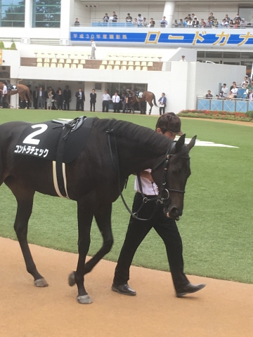 パドック コントラチェック