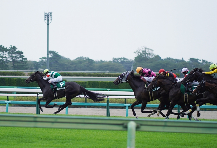 2021/9/12 京成杯オータムH(G3) コントラチェック