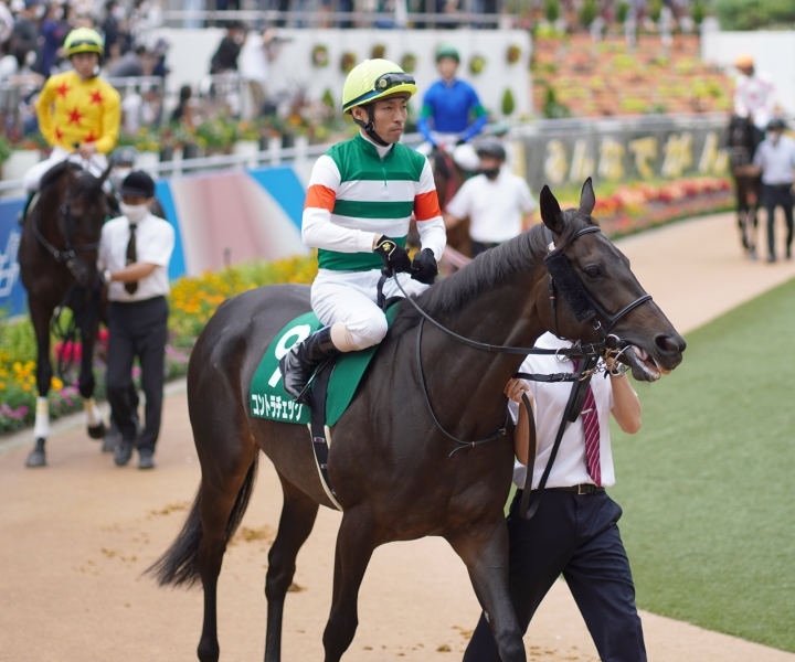 2021/9/12 京成杯オータムH(G3) コントラチェック