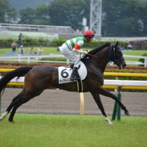 ３歳以上１勝クラス　返し馬