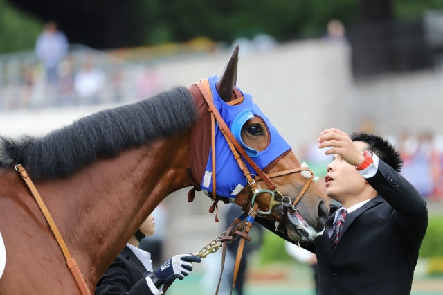 デビュー戦パドック クルミネイト