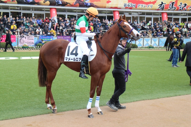 デビュー戦パドック マメールロア