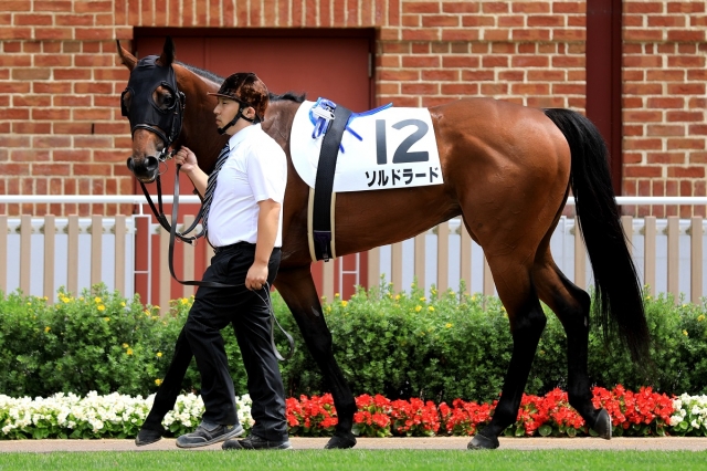 2019.7.21 函館4R 3歳未勝利戦 ソルドラード
