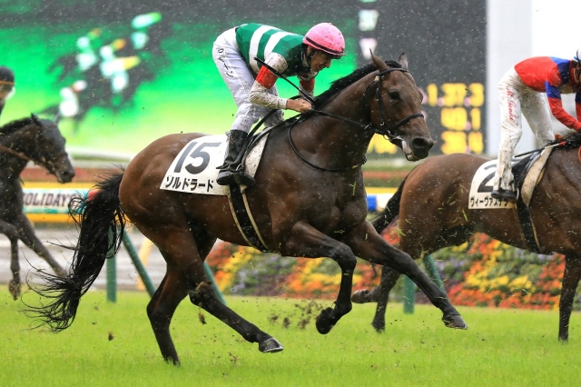 2019.6.15 東京7R 3歳未勝利 ソルドラード