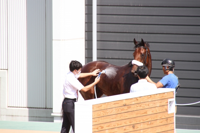 シャワー ベルクワイア