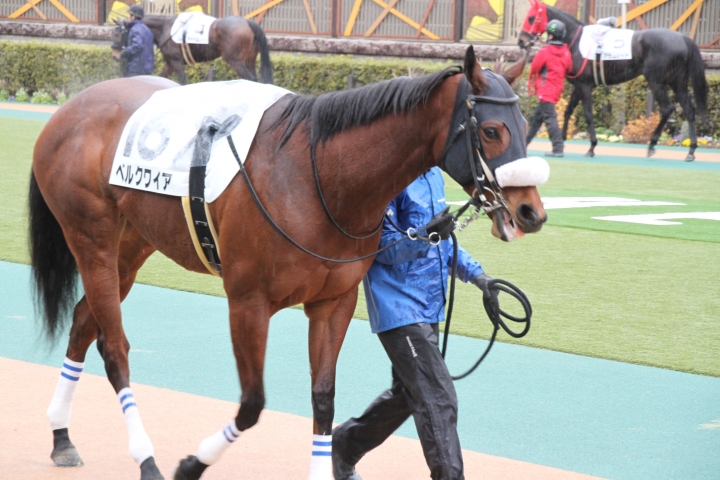 ラストランパドック１ ベルクワイア