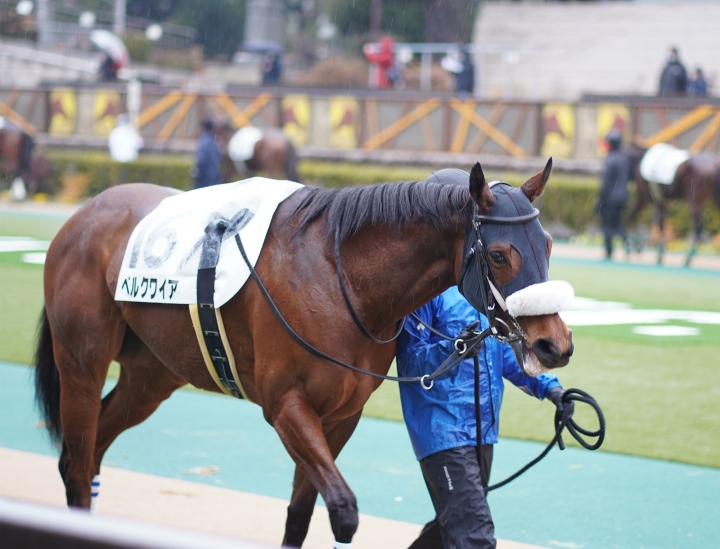 2022/2/13 4歳以上2勝クラス(牝) ベルクワイア