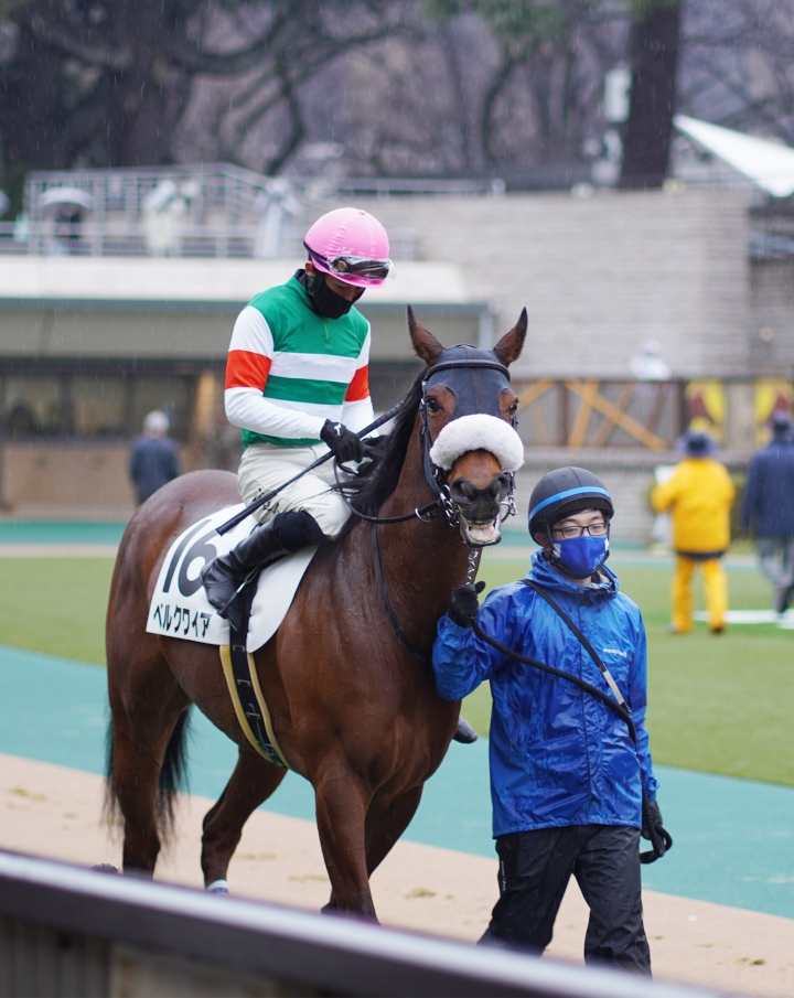 2022/2/13 4歳以上2勝クラス(牝) ベルクワイア
