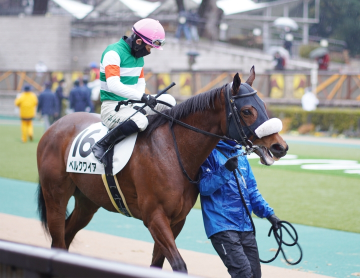 2022/2/13 4歳以上2勝クラス(牝) ベルクワイア