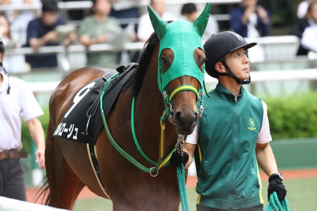 2019年 雄国沼特別 パドック グロオルロージュ