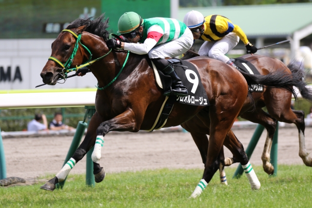 2019年雄国沼特別 直線 グロオルロージュ
