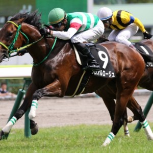 2019年雄国沼特別 直線