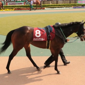 東京競馬場