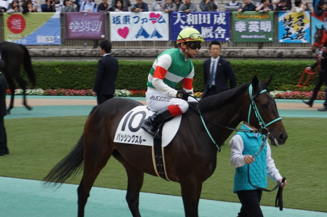 新馬パドック② パッシングスルー