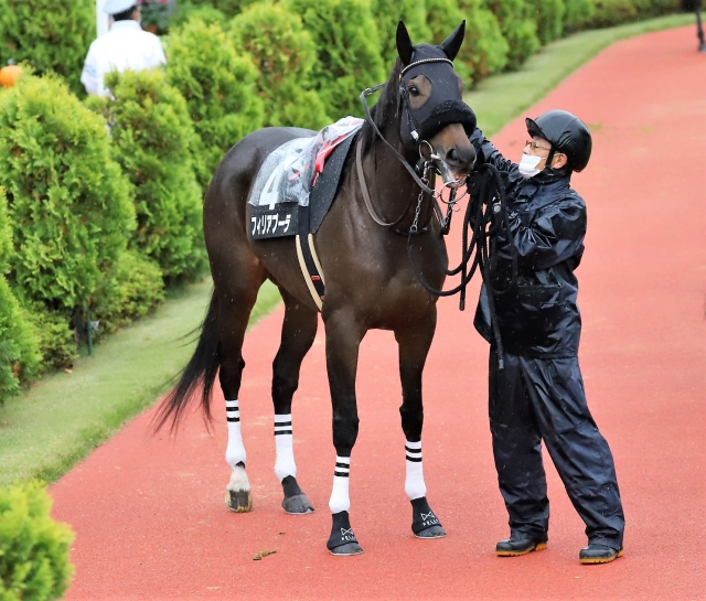 新潟牝馬Ｓパドック フィリアプーラ