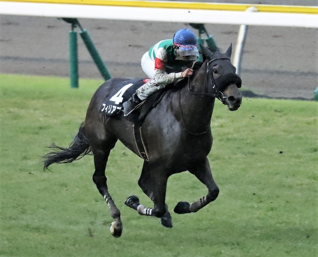 新潟牝馬Ｓレース フィリアプーラ