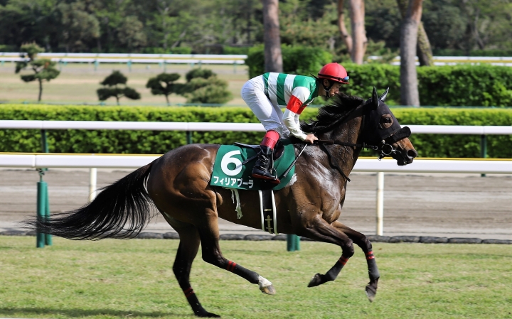 福島牝馬S(新潟）返し馬 フィリアプーラ