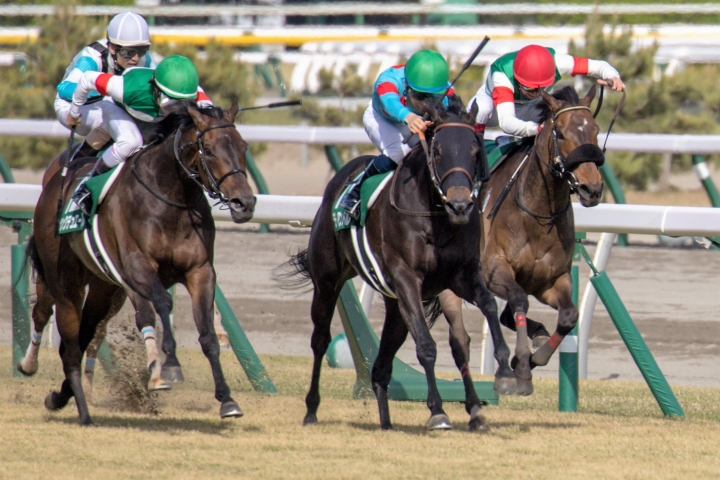 福島牝馬S(新潟）レース フィリアプーラ
