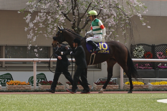 桜花賞パドック丸山元気騎手騎乗➀ フィリアプーラ
