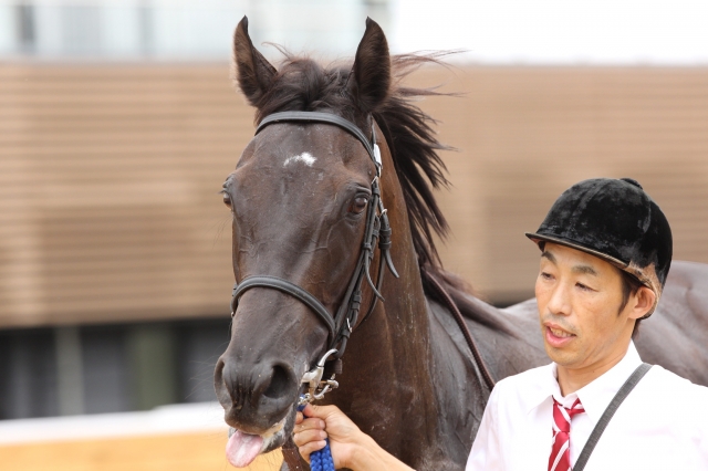 新馬戦(レース後) フィルムフェスト