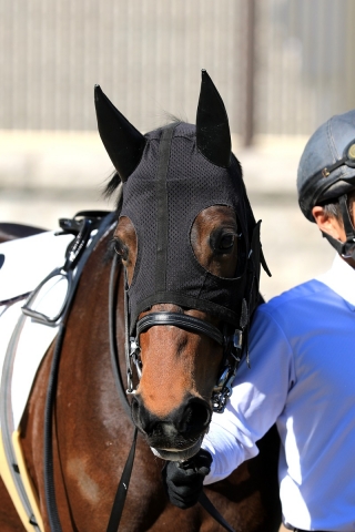 2019.2.3 東京5R 3歳未勝利 キアレッツァ