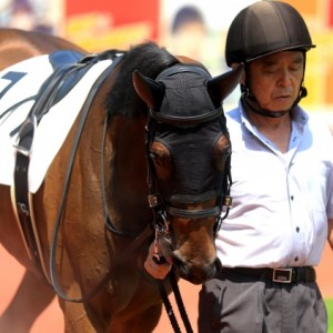 2019.8.4 新潟3R 3歳未勝利