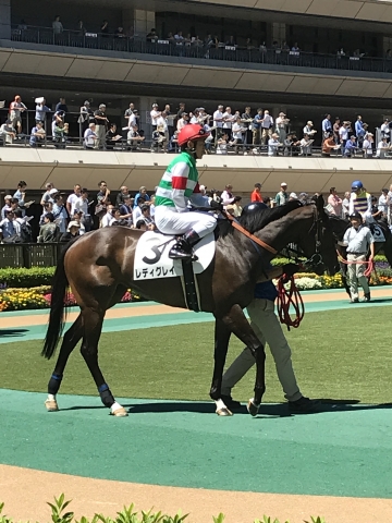 レディグレイ×戸崎J レディグレイ
