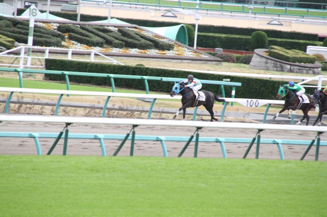 直線 ヴァイトブリック