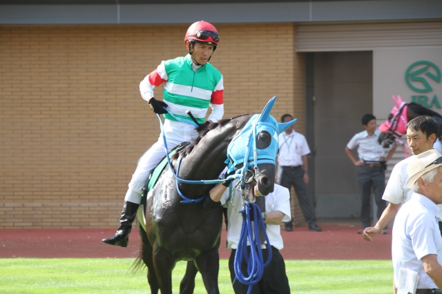 パドック ヴァイトブリック