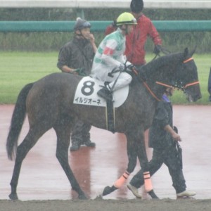 ２戦目本馬場入場