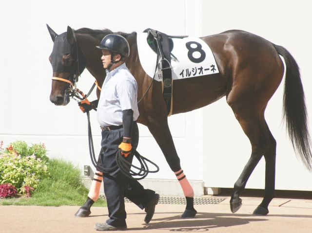 ７戦目パドック イルジオーネ