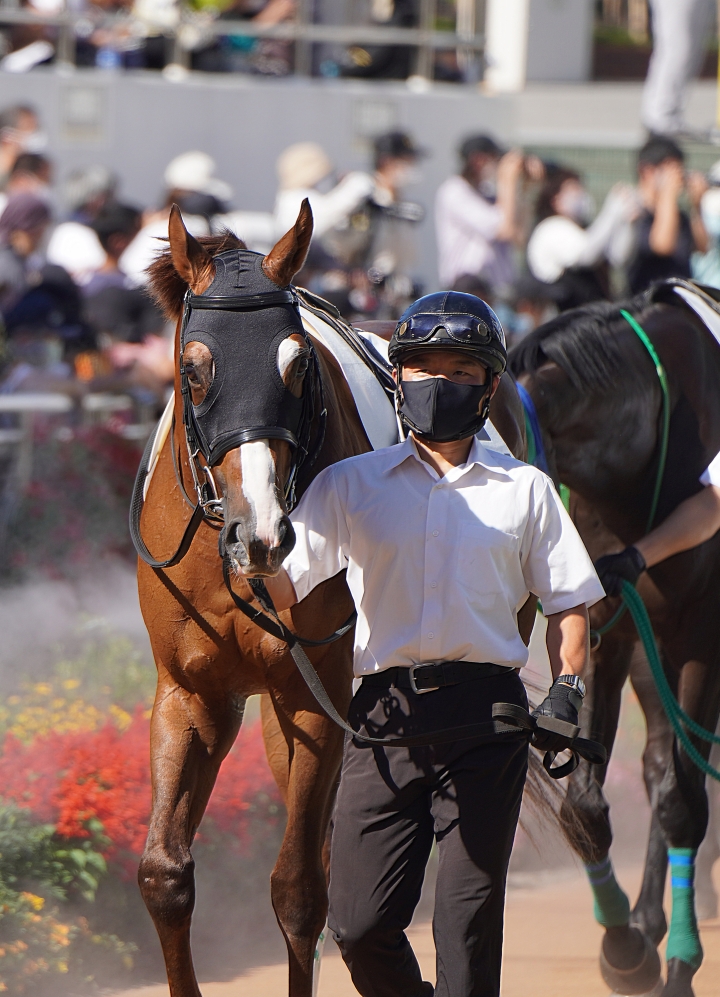 2022/10/2 3歳以上2勝クラス ガルヴィハーラ
