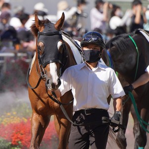 2022/10/2 3歳以上2勝クラス