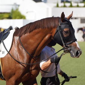 2022/10/2 3歳以上2勝クラス