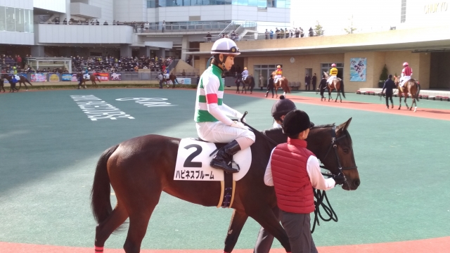 北村友一ジョッキーでした。 ハピネスブルーム